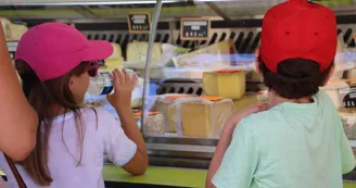 Marché Mugron jeudi - fromager Marché Mugron jeudi - fromager