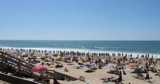 Plage-Lacanau------Medoc-Atlantique--7- Plage-Lacanau------Medoc-Atlantique--7-