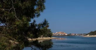residence Lagocéan vieux Boucau Landes Atlantique Sud (14)