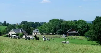 GitesFermeEquestreDuMialaret-CampsSaintMathurinLeobazel_2