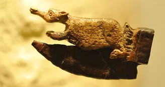 Musée de Rauranum à Rom