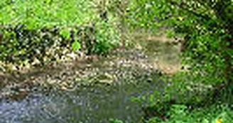 ruisseau-moulin-bertrand-fiche-curiosite