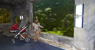 L'aquarium