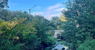 la sédelle dans le jardin la sédelle dans le jardin
