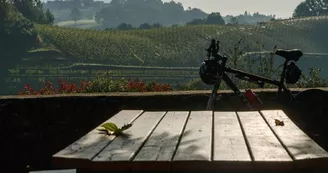 Oronozia Baigorri-Terrasse vue sur les vignes
