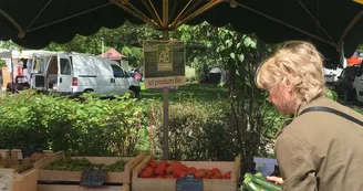 Marché de Migron