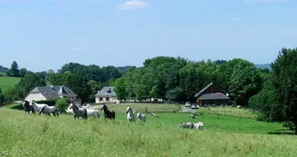 19G5900-Mialaret_Camps_2