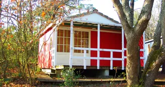 Camping Palace photo 7