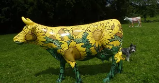 tournesol_3 tournesol_3