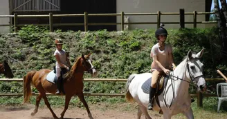 Poney Club Poney Club