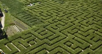 labyrinthe de l'ermite labyrinthe de l'ermite