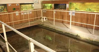 Aquariums du Lavoir_3