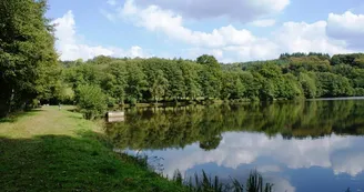 DONTREIX - Etang de Jarmenet DONTREIX - Etang de Jarmenet