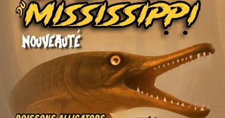 1. Nouveaut‚ 2026 Les Dents du Mississippi