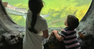 4. Plus grand Aquarium d'Europe