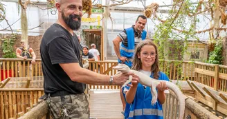 9. animation nourrissage bb alligator albinos