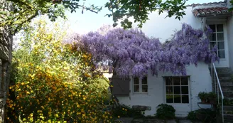 La maison entourée d'un grand parc