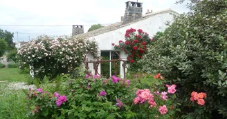 Le jardin