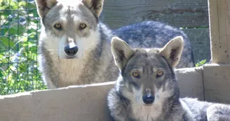 Zoo de Mescoules (10) Zoo de Mescoules (10)