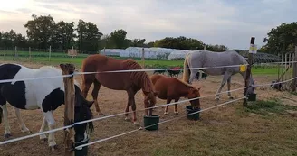 Ferme découverte au Domaine d'Écoline
