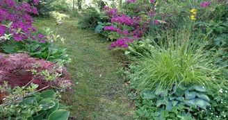 Le Jardin des Bois_2 Le Jardin des Bois_2