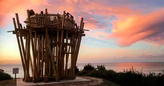 Love Tower Love Tower