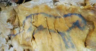 Cheval Bleu GRotte VillarsJMB Cheval Bleu GRotte VillarsJMB
