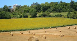 AlbretTourisme03 AlbretTourisme03