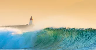 la-sud-hossegor la-sud-hossegor