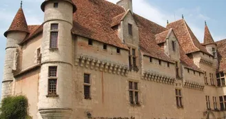 chateau-de-neuvic chateau-de-neuvic