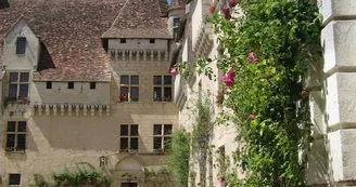 cour du château de Neuvic cour du château de Neuvic