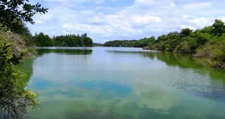 Réserve naturelle de l'étang noir Réserve naturelle de l'étang noir