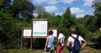 visite de la réserve naturelle de l'étang noir visite de la réserve naturelle de l'étang noir