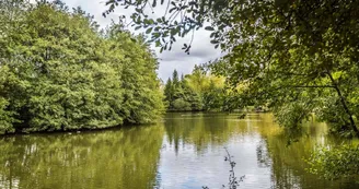 Lac des carolins - Lescar - le lac Lac des carolins - Lescar - le lac