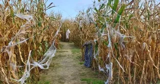 Journée Halloween