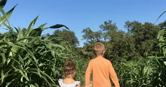 Labyrinthe de Chalosse