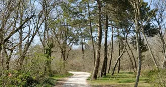Bois du Dehes ©Ville du Haillan (1) Bois du Dehes ©Ville du Haillan (1)