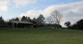 Bergerie