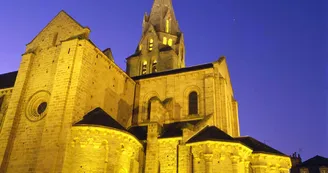 Collégiale Saint Martin_1
