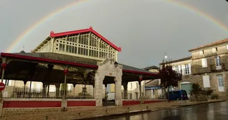 halle Pellegrue 2