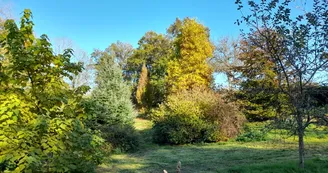 ARBERETUM PHOTO 2