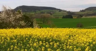 Campagne-du-cote-de-Monsegur