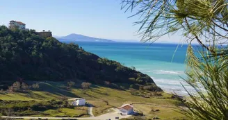 Plage d'Erretegia (25)