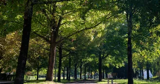 Jardin Manuel de Falla