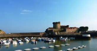 Le-fort Le-fort
