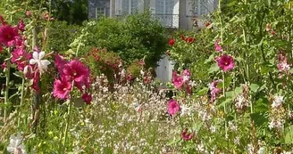 Château Mongenan, Jardins - PORTETS - La Gironde du Sud Château Mongenan, Jardins - PORTETS - La Gironde du Sud