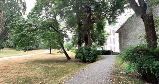 Parc Tissié - Pau - allée de promenade