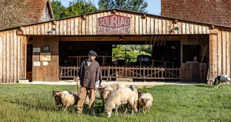 Le Berger et les moutons Le Berger et les moutons