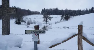 Neige Bonnefond Neige Bonnefond