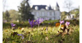 Château de Franqueville - Bizanos - Façade et prairie Château de Franqueville - Bizanos - Façade et prairie